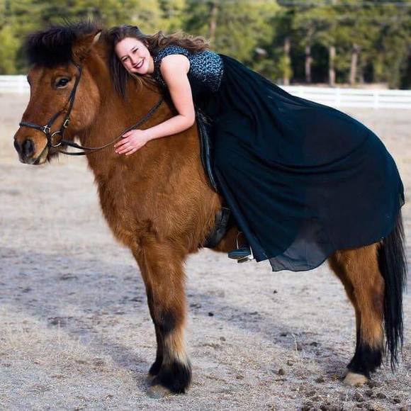 Meet your Posher, Payton - Picture 1 of 1